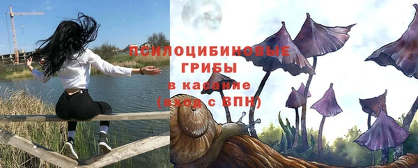 mdma Кукмор