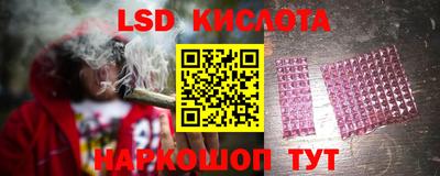 ALPHA PVP Ярославль