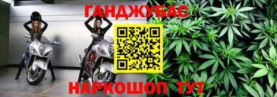 прущие грибы Абинск