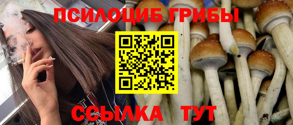 Псилоцибиновые грибы Magic Shrooms Усть-Кут