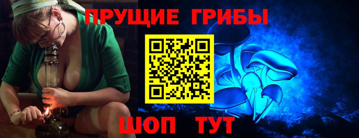 Псилоцибиновые грибы Psilocybine cubensis  Усть-Кут 